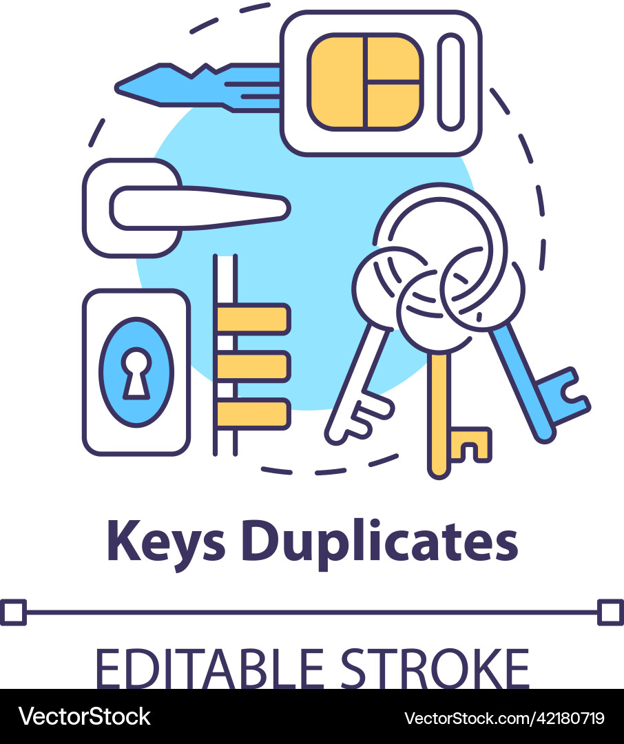 Keys duplicates concept icon Keys duplicates concept icon vector image