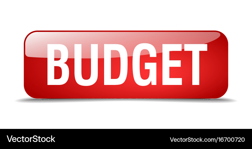 Budget red square 3d realistic isolated web button vector image