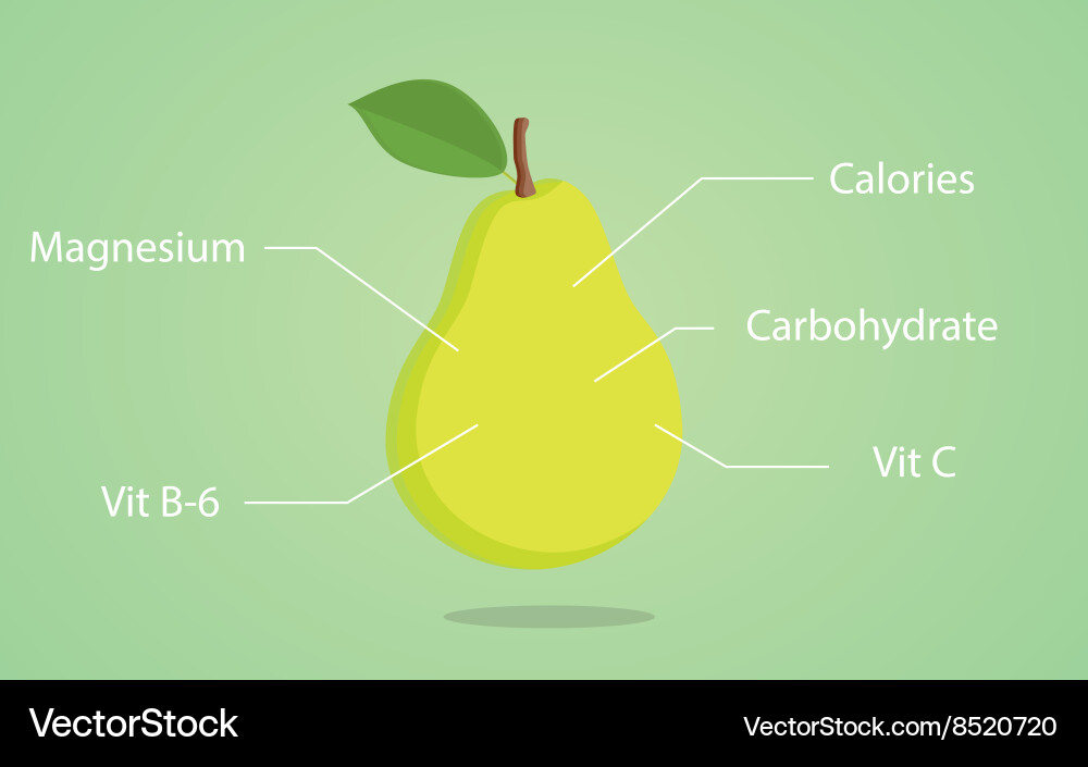 Pear nutrition with list vector image
