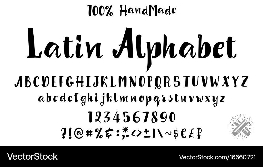 Alphabet calligraphic font unique custom vector image