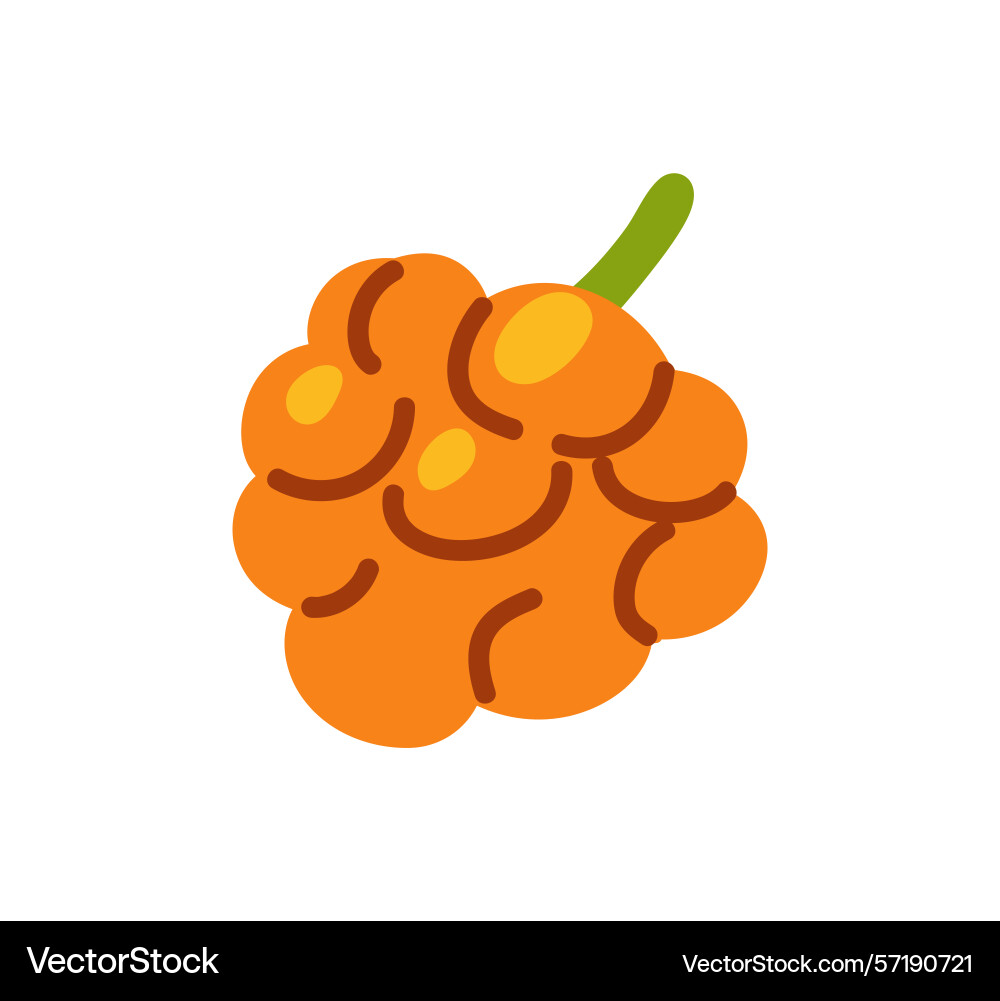 Branch of cloudberry icon orange raspberry Branch of cloudberry icon orange raspberry Vector Image