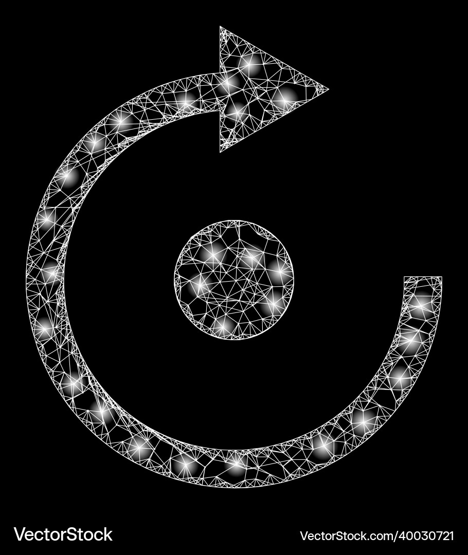 Bright network mesh rotate with lightspots Bright network mesh rotate with lightspots vector image