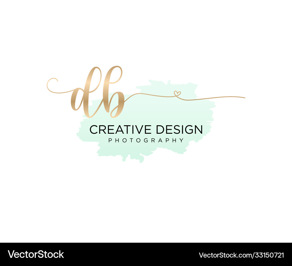 Elegant Brush Script Logo - DB Initials vector image