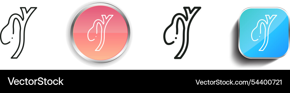 Gallbladder icon thin linear regular and button vector image