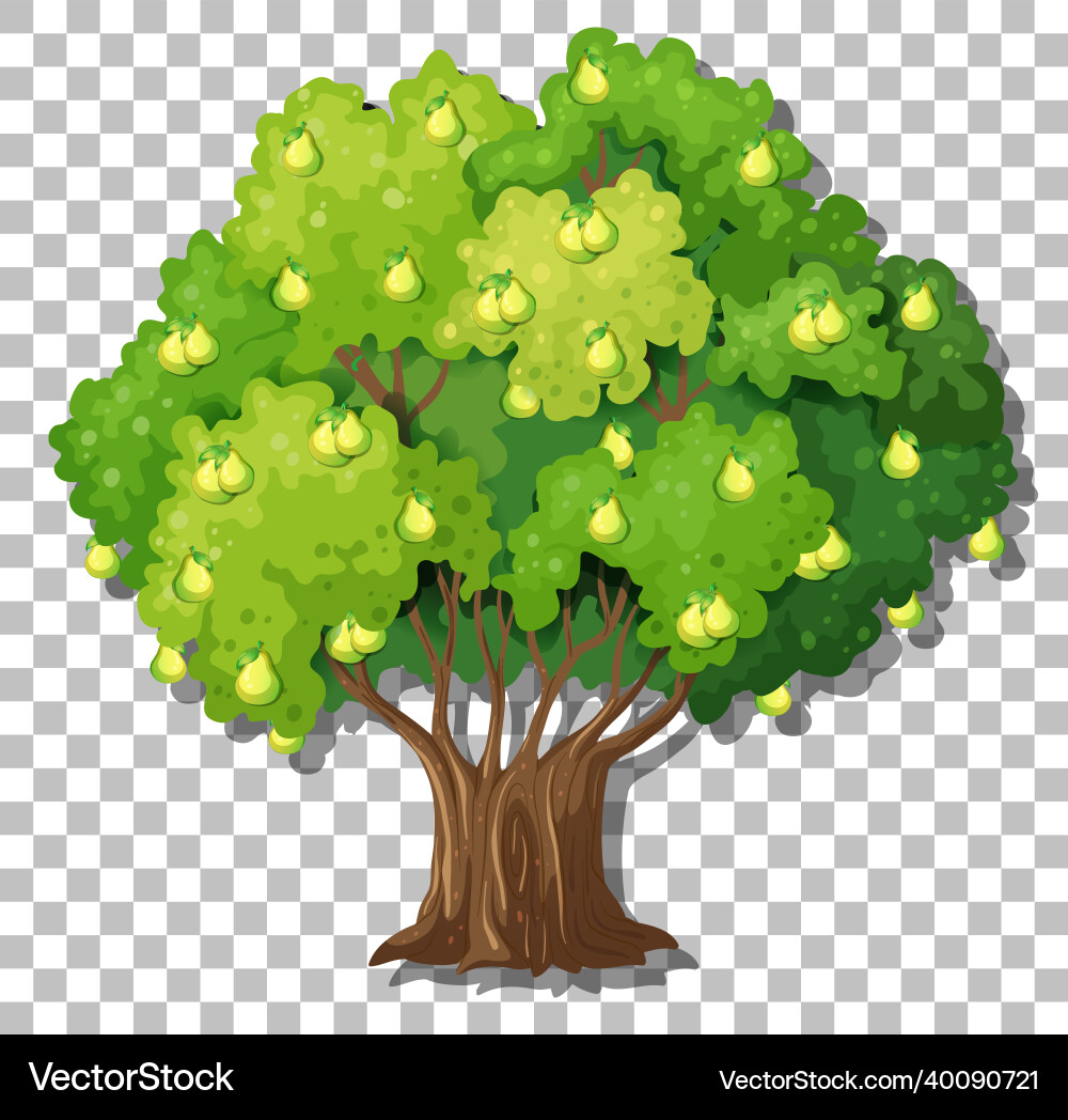 Pear tree on transparent background Pear tree on transparent background vector image