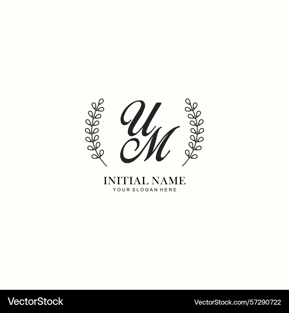 Um initial logo templates with botanical elements Um initial logo templates with botanical elements vector image