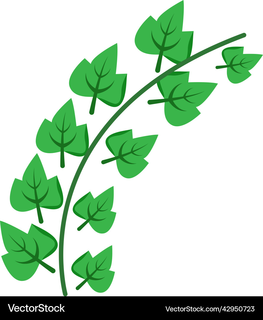 Grapevine semi flat color object Grapevine semi flat color object vector image