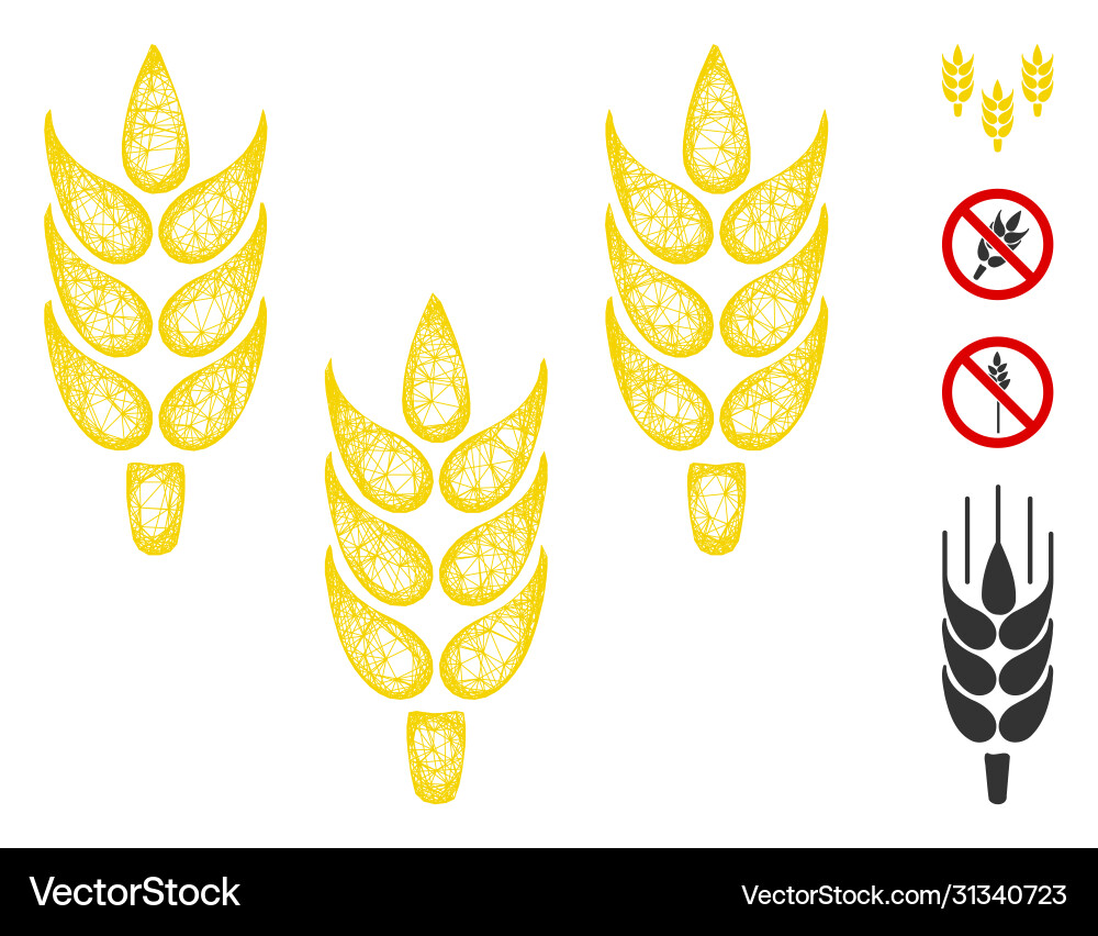Rice web mesh Rice web mesh vector image