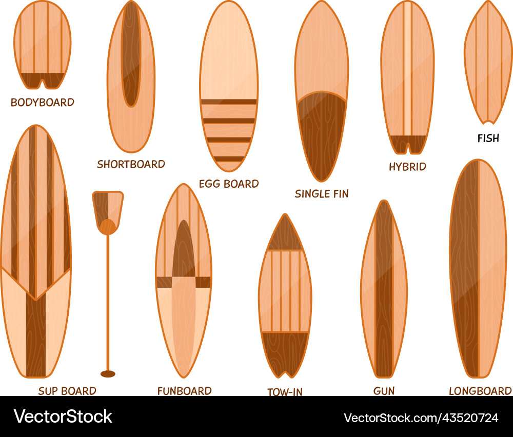 Surfing board sizes wood surfboard differences Surfing board sizes wood surfboard differences vector image