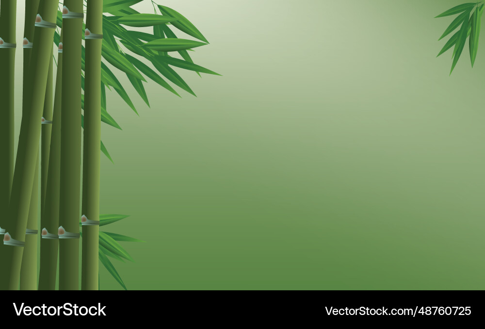 Bamboo background with space for text Vector Image