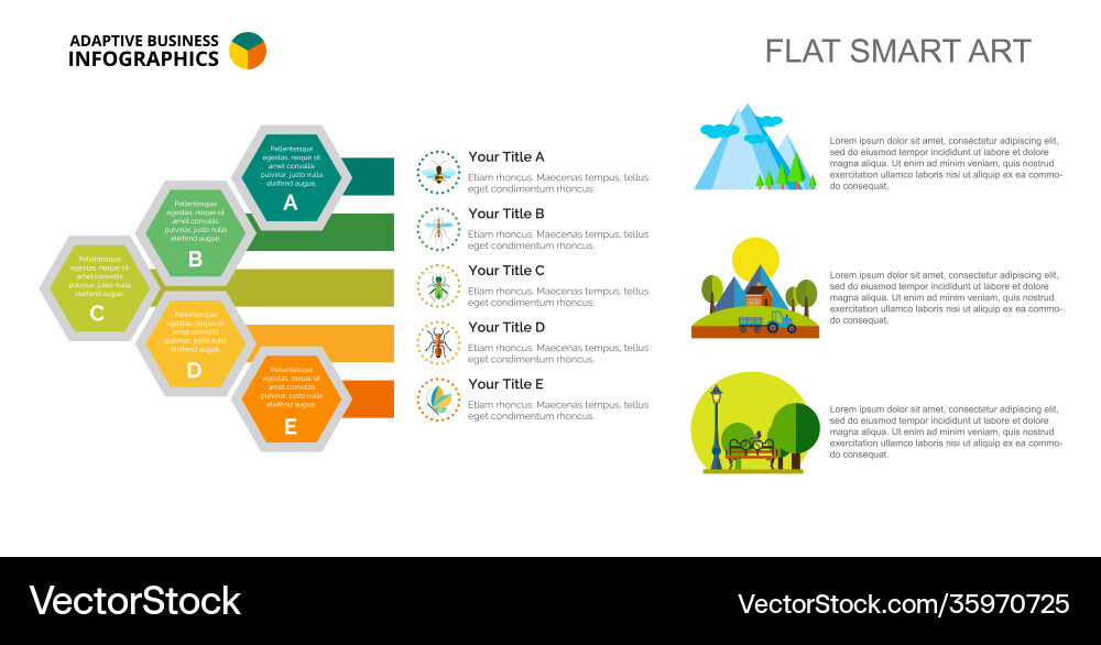 Bar chart with five elements template vector image