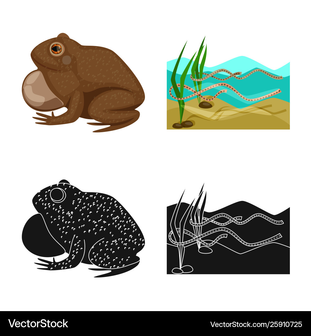 Isolated object wildlife and bog logo set Vector Image