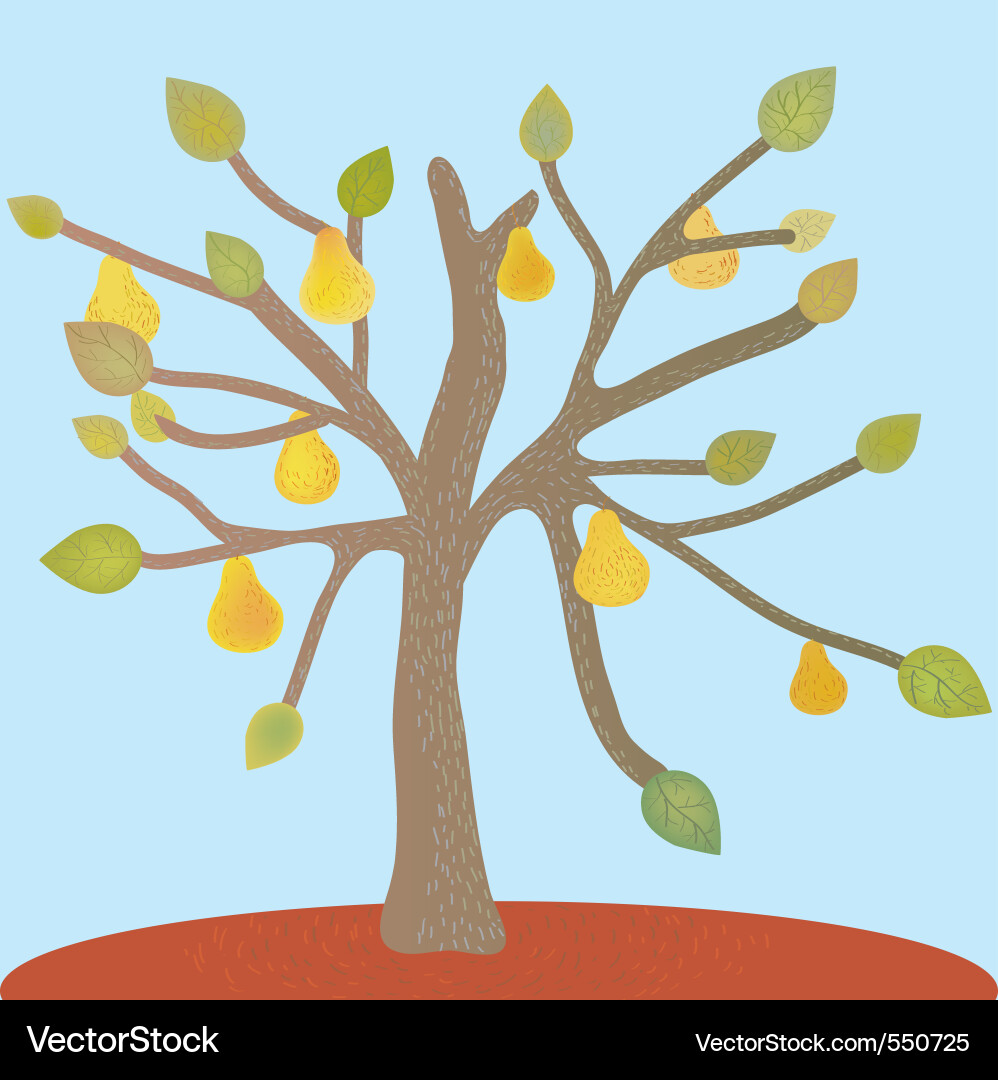 Pear tree vector image
