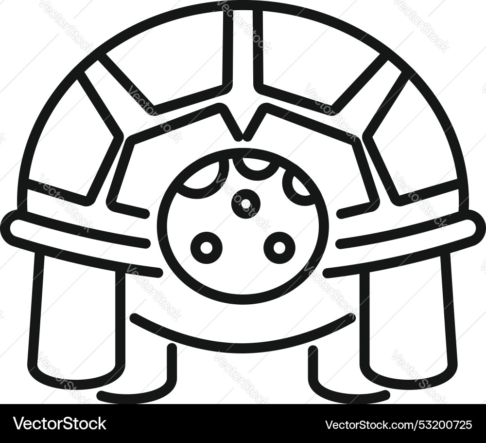 Turtle shell showing its beautiful natural pattern Turtle shell showing its beautiful natural pattern vector image
