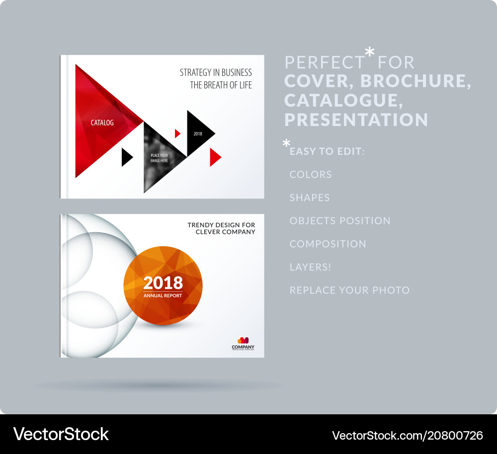 Triangular Presentation Templates vector image