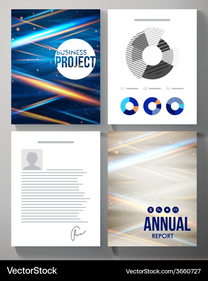 Template for a business project and report vector image