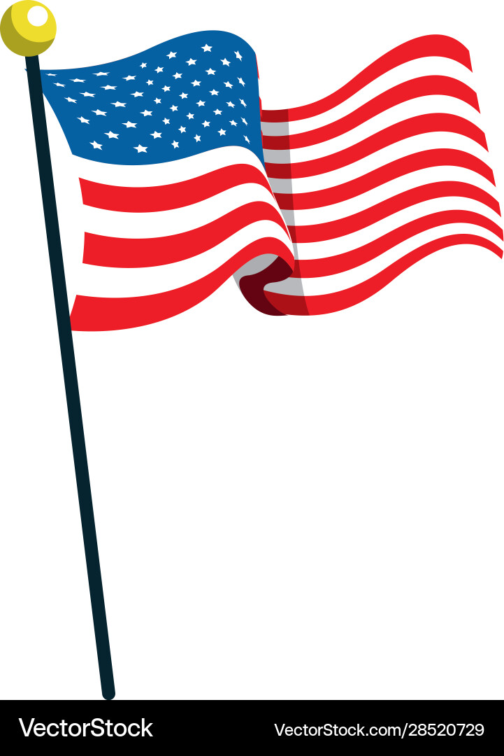 American Flag on a Pole vector image