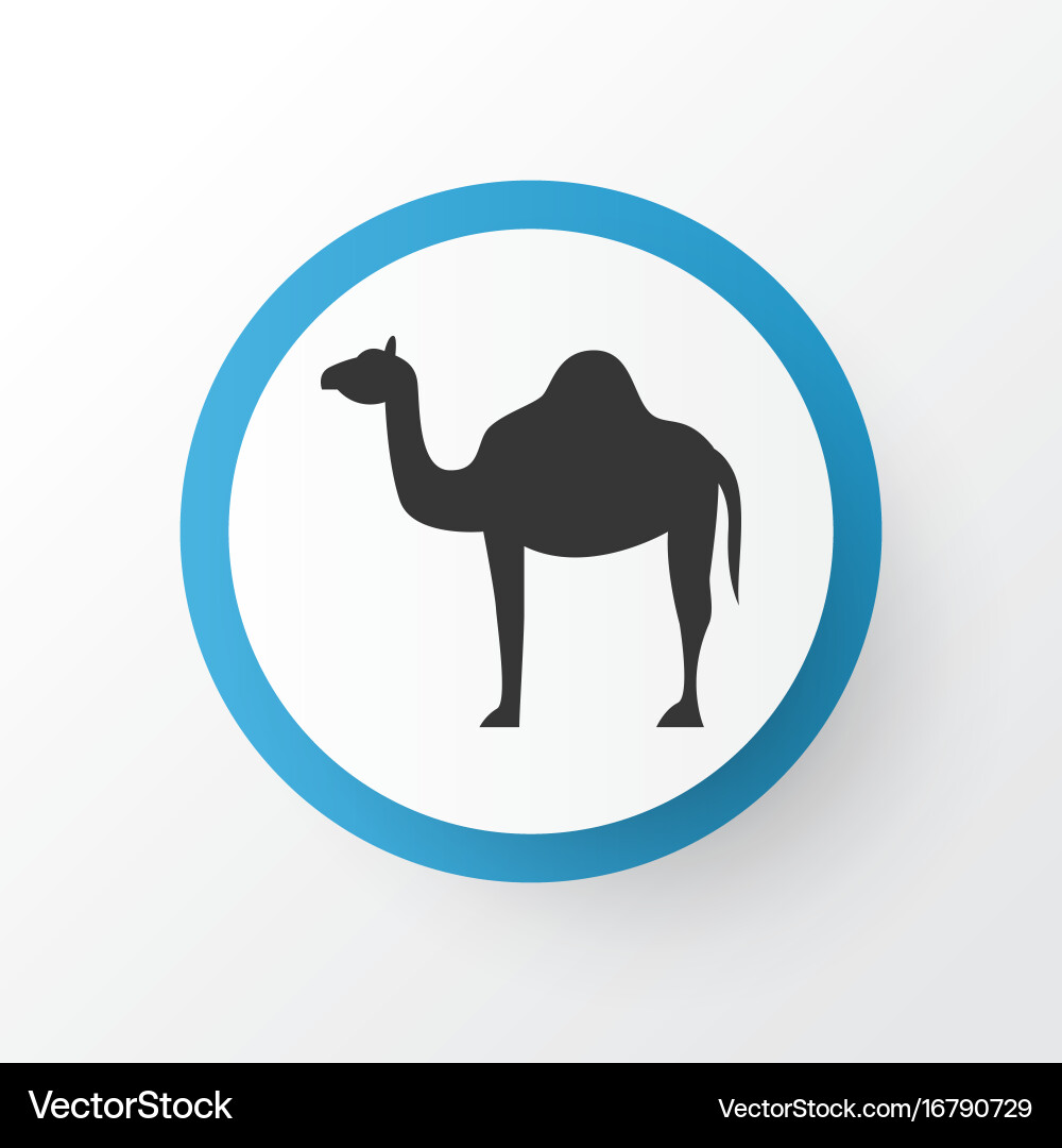 Camel icon symbol premium quality isolated animal Vector Image