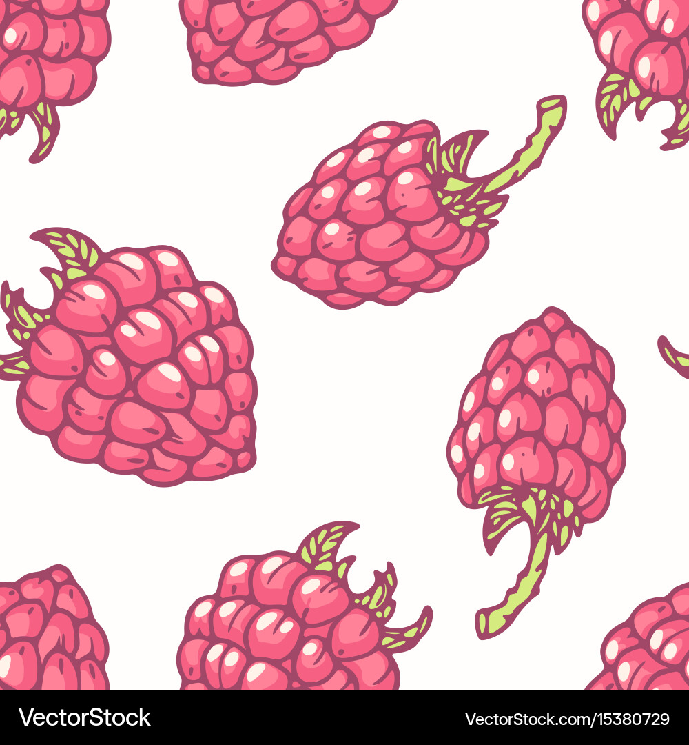 Hand drawn seamless pattern with raspberry vector image