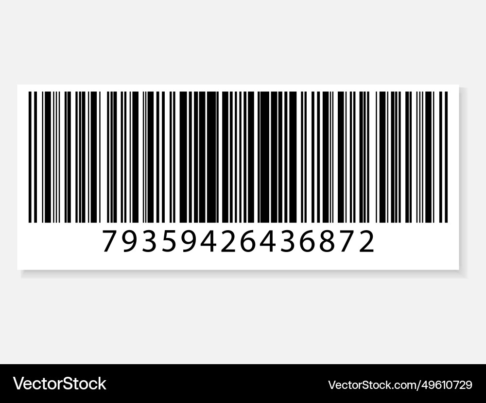 Set von Barcodes Sammlung qr Codes Lizenzfreies Vektorbild