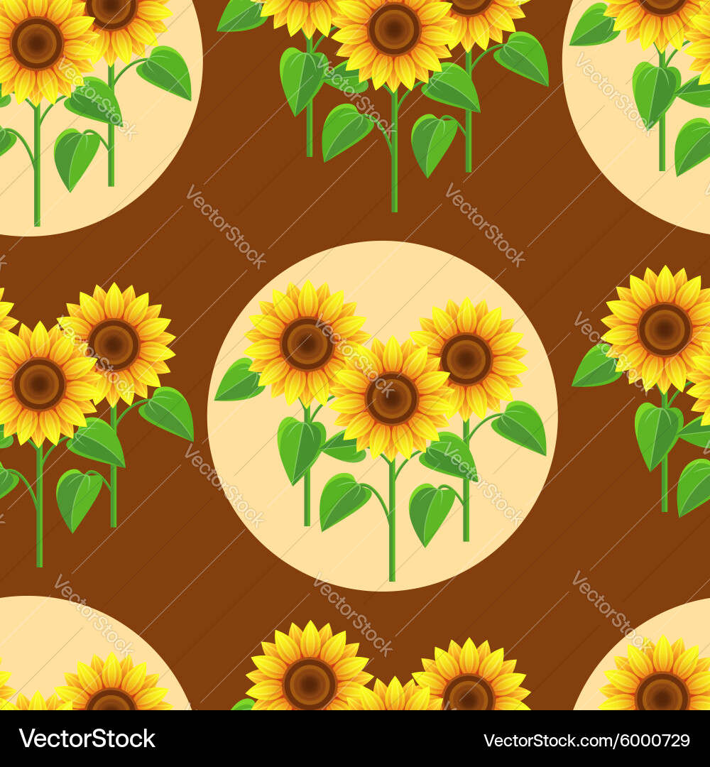Sunflower Circle Pattern Vector Image