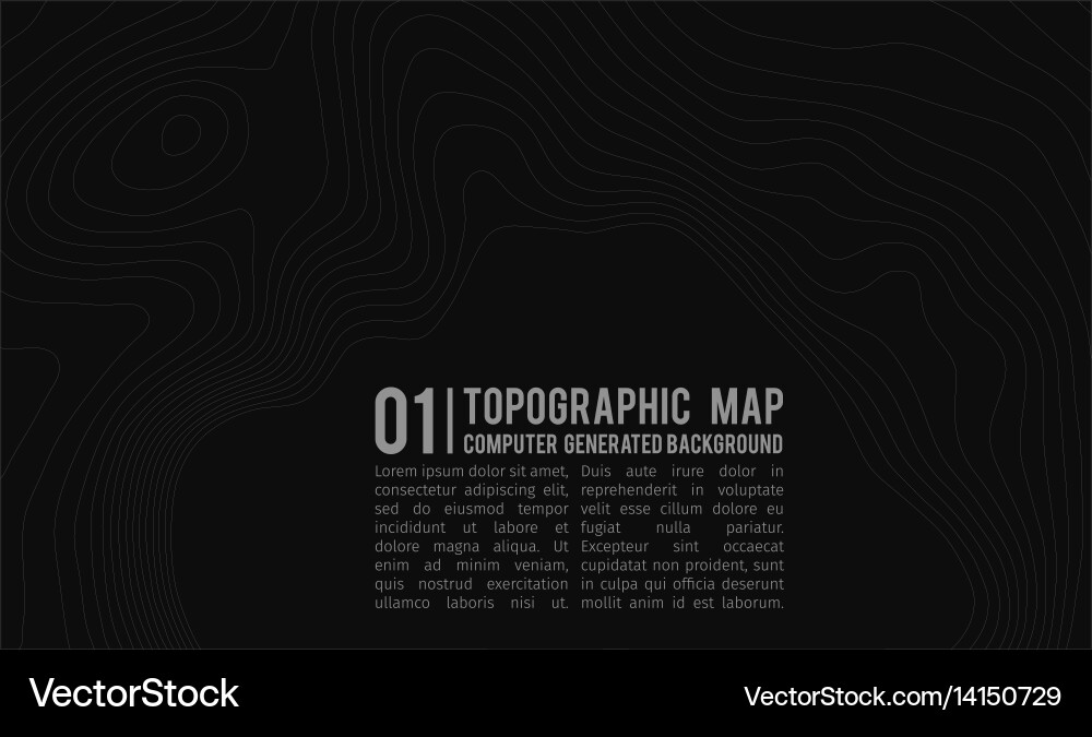 Topographic Terrain Background Vector Image