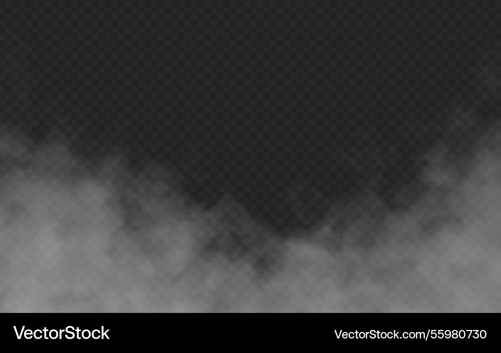 Dark Fog Effect on Transparent Background vector image