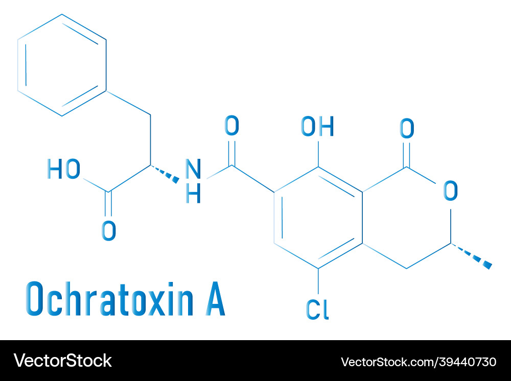 Ochratoxin a mycotoxin Molekülskelettformel Ochratoxin a mycotoxin Molekülskelettformel vektorbild
