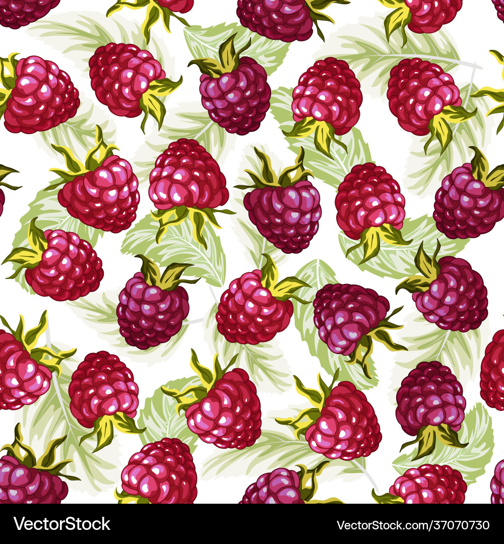 Raspberry berries in a seamless pattern Raspberry berries in a seamless pattern Vector Image