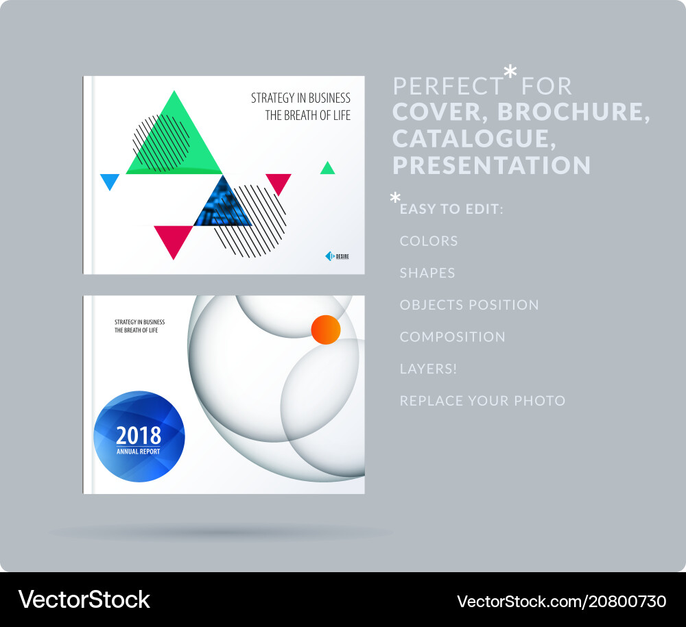 Triangular Presentation Template vector image