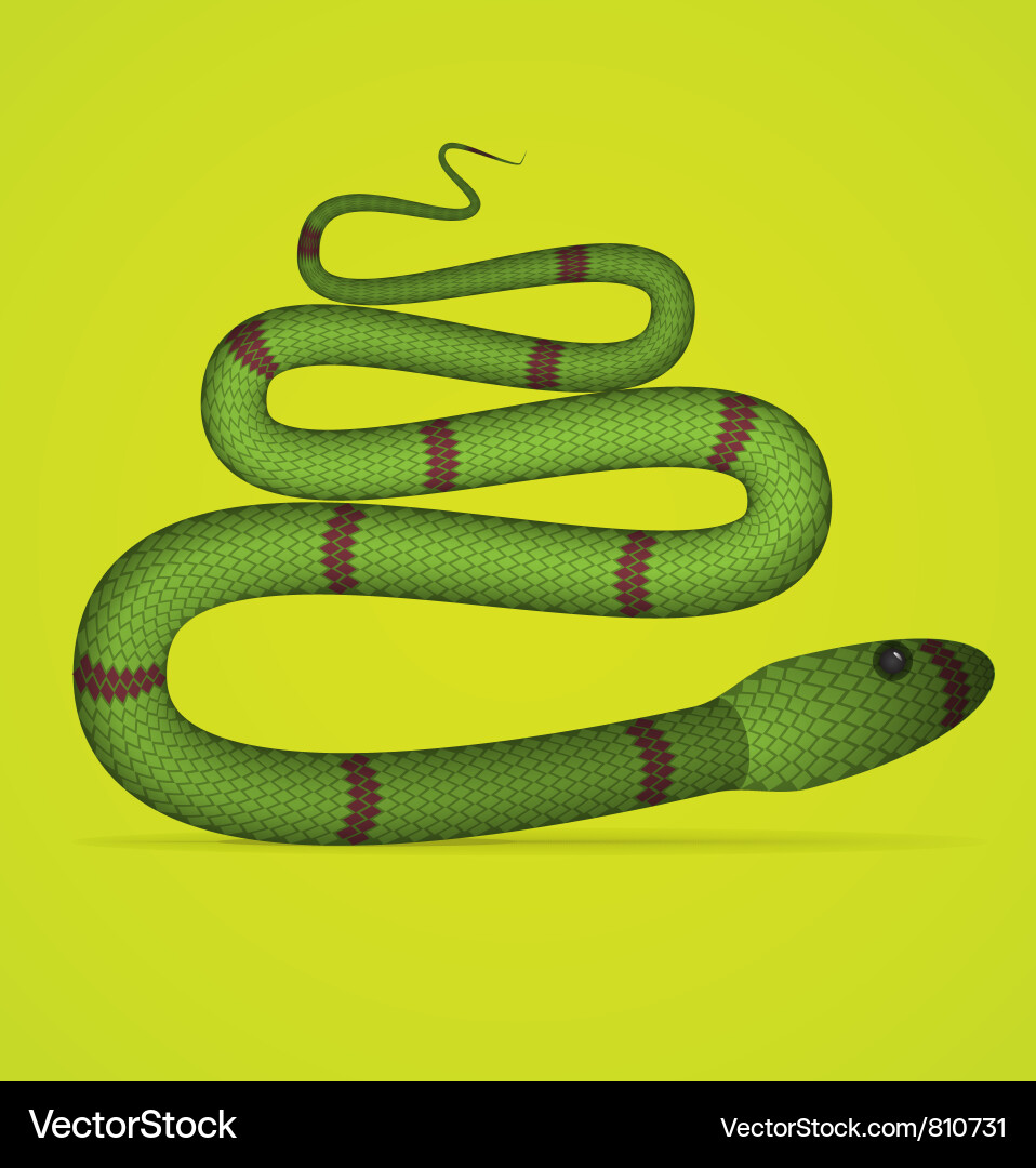 Elegant Green Snake Vector Image