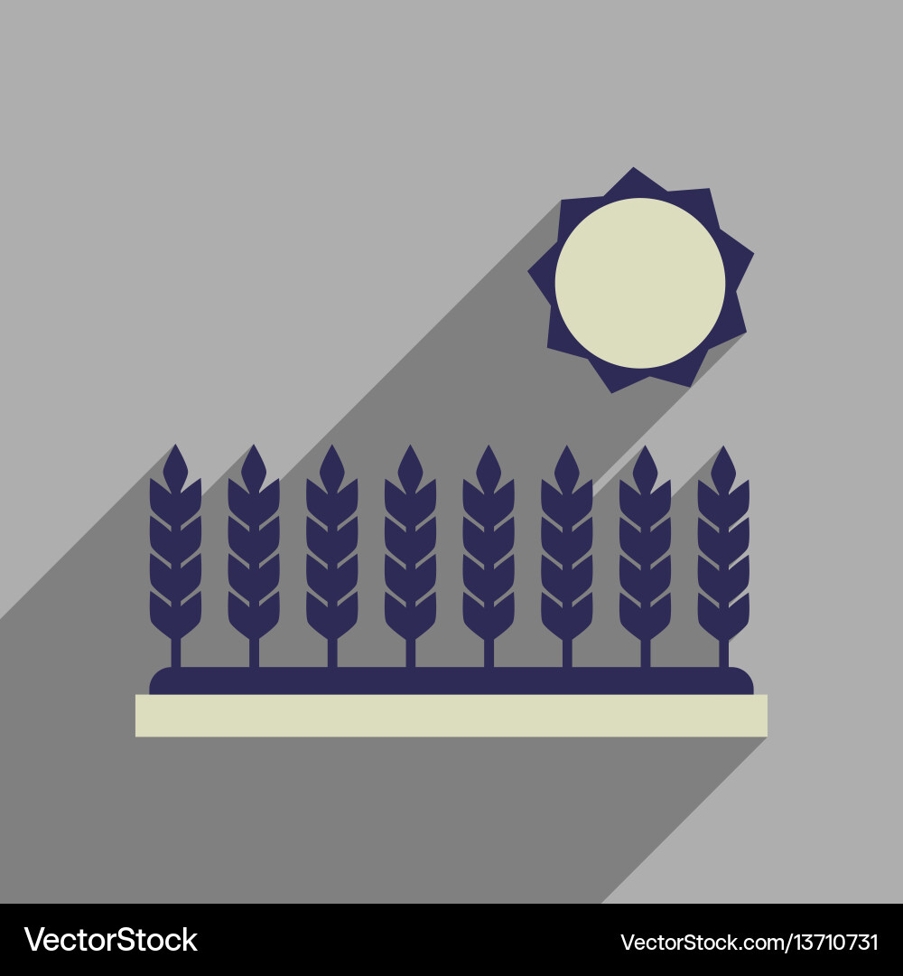 Flat web icon with long shadow wheat field vector image