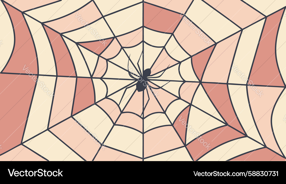 Intricate spiderweb design abstract pattern Vector Image