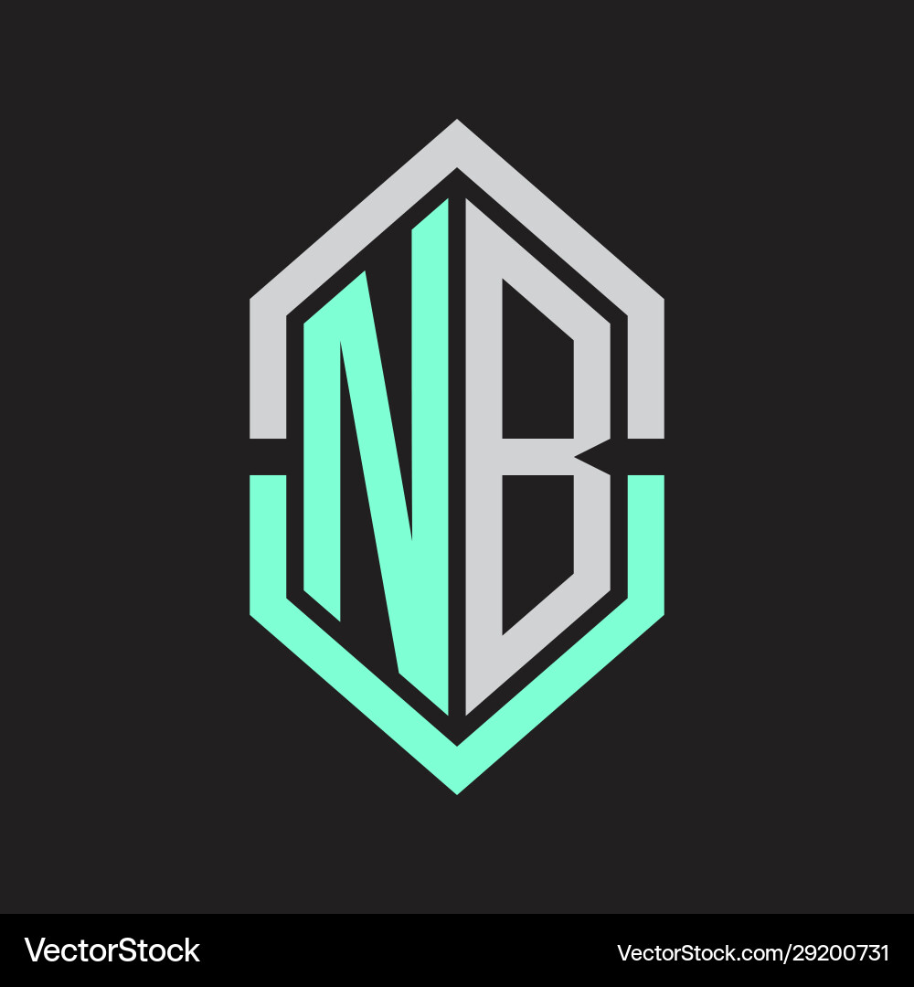 Nb logo monogram with hexagon shape and outline Nb logo monogram with hexagon shape and outline vector image