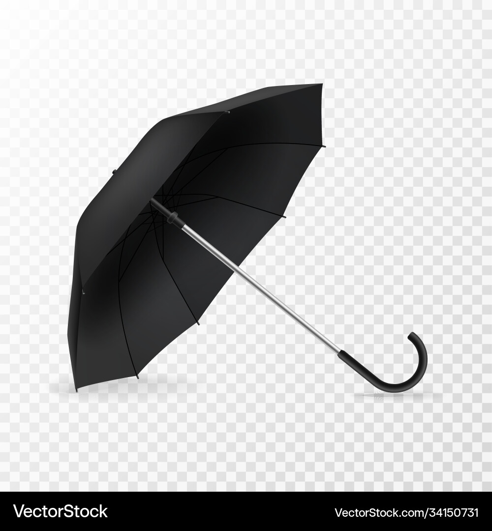 Realistic open umbrella side view blank object Realistic open umbrella side view blank object vector image