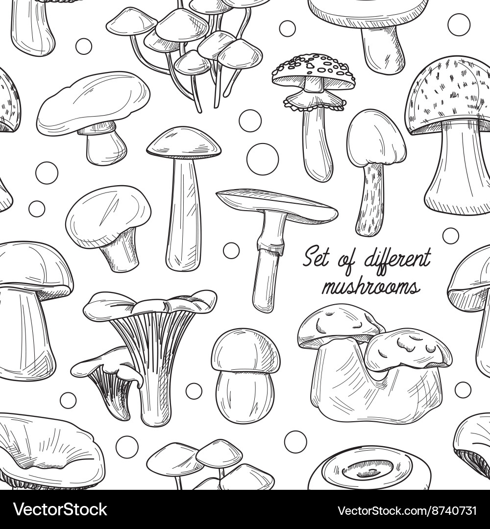 Set of different mushrooms pattern vector image