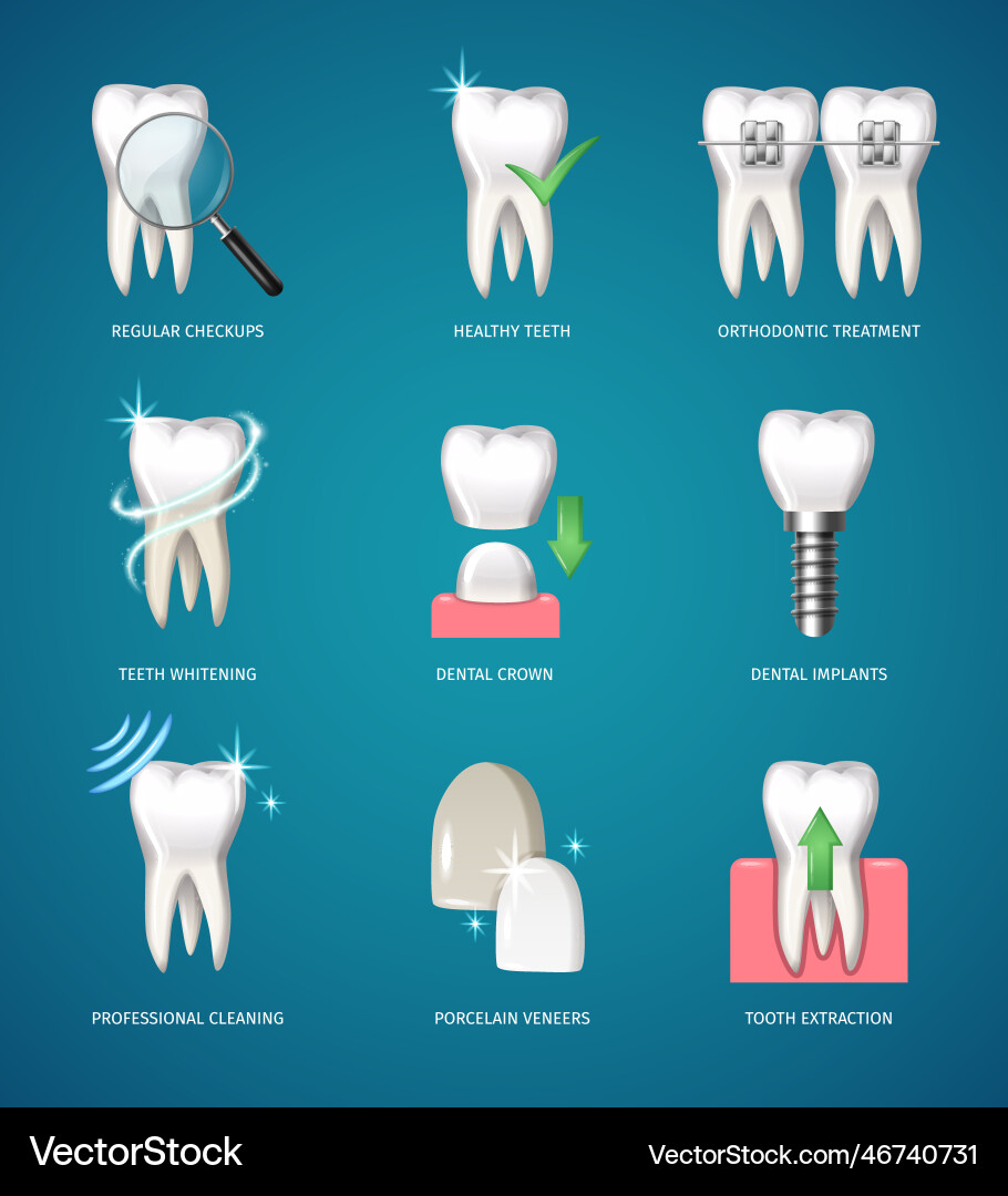 Teeth realistic icons Teeth realistic icons vector image