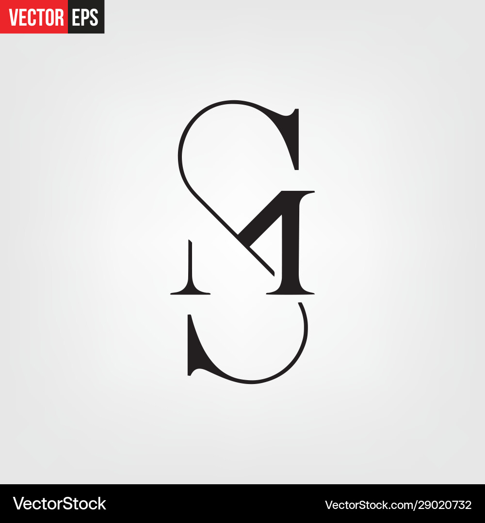 Elegante Alphabet Buchstaben Schriftart Elegante Alphabet Buchstaben Schriftart vektorbild