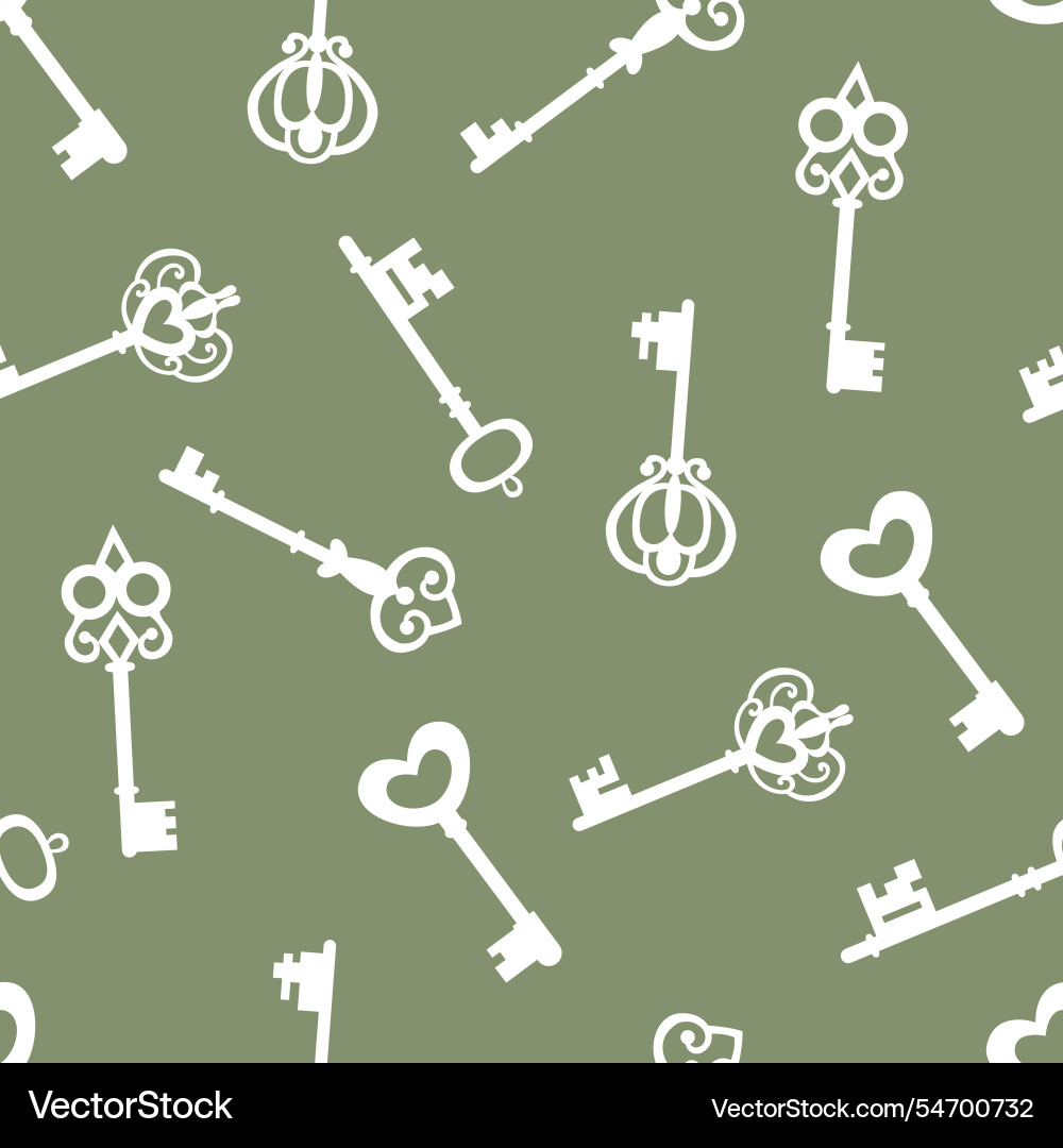 Seamless pattern with keys vector image