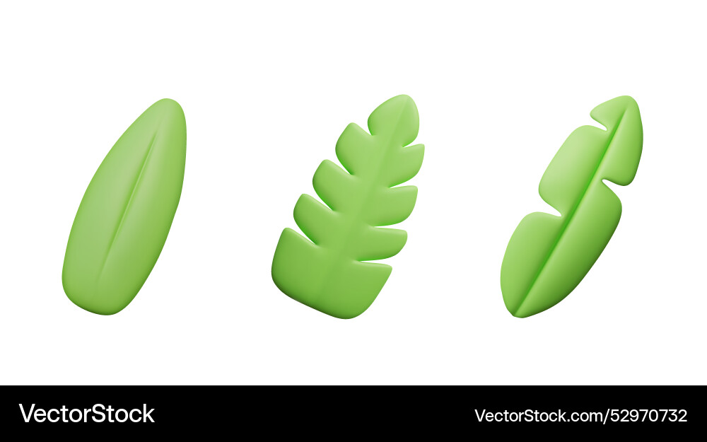Set of green 3d leaves different shapes Royalty Free Vector