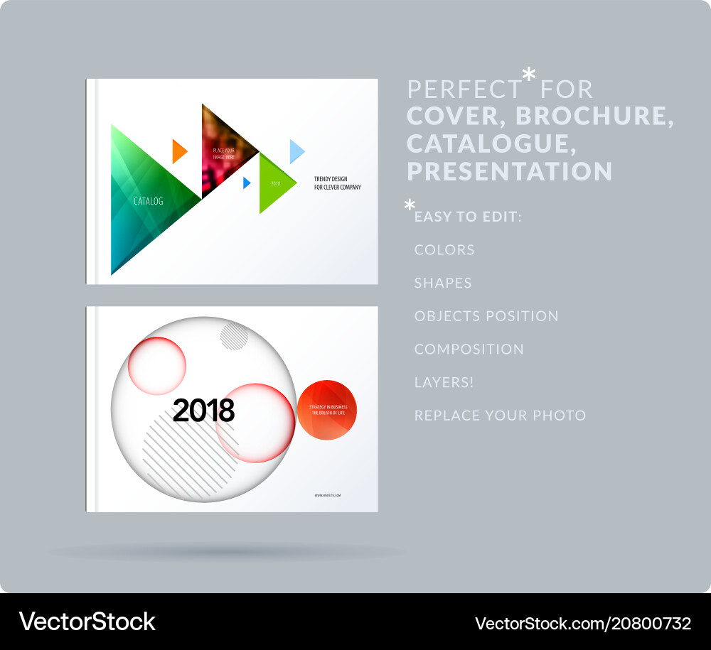 Triangular Presentation Templates vector image