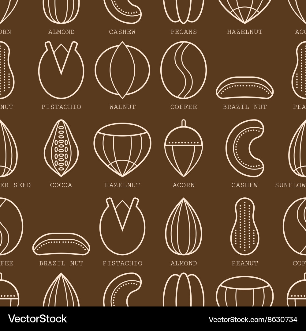 Flat linear icons of different nuts seamless vector image