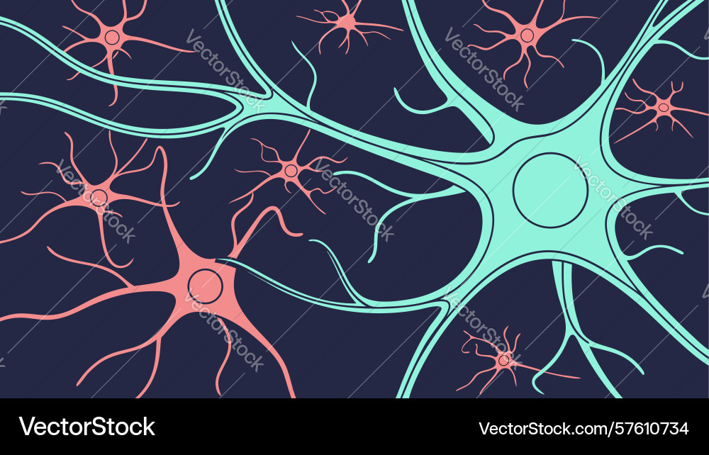 Vibrant neuron cell with synaptic connections Vector Image