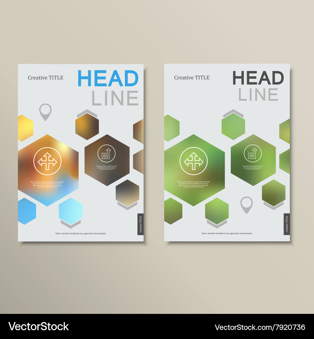 Design template abstract hexagonal shapes Vector Image