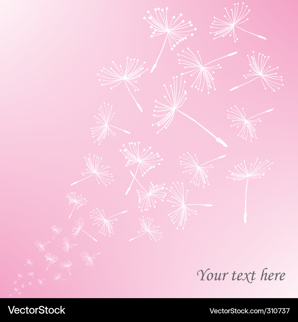 Dandelion Bloom - Seeds in the Wind Vector Image