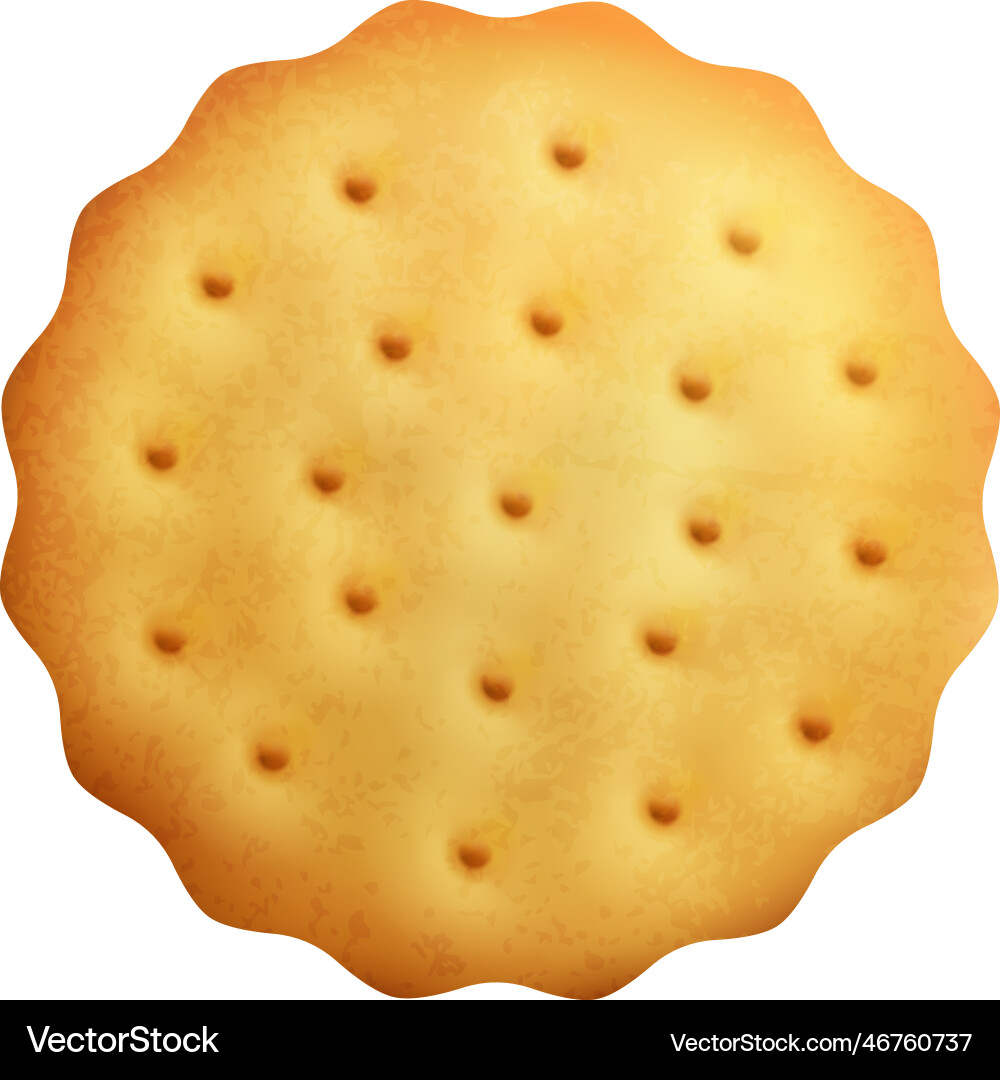 Vector Cookis Rays Realistic cookie Royalty Free Vector Image - VectorStock