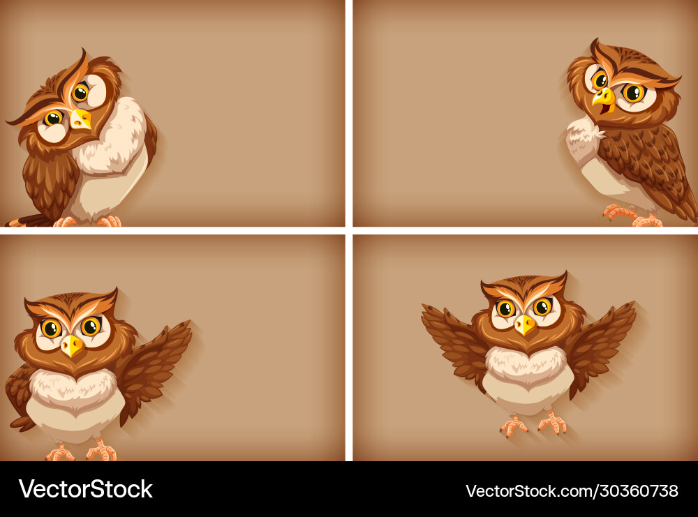 Background template with plain color and owls vector image