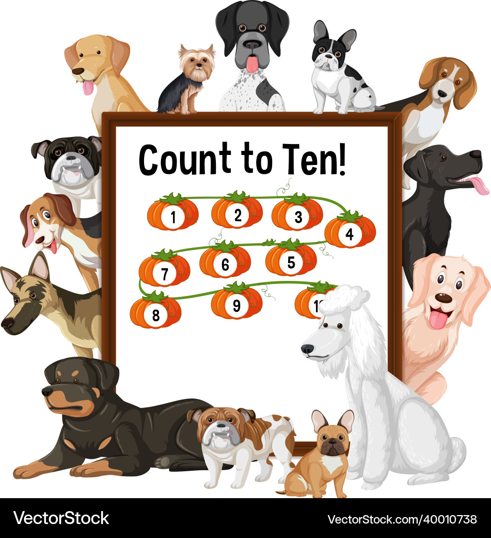 Count to ten board with many different types Count to ten board with many different types vector image