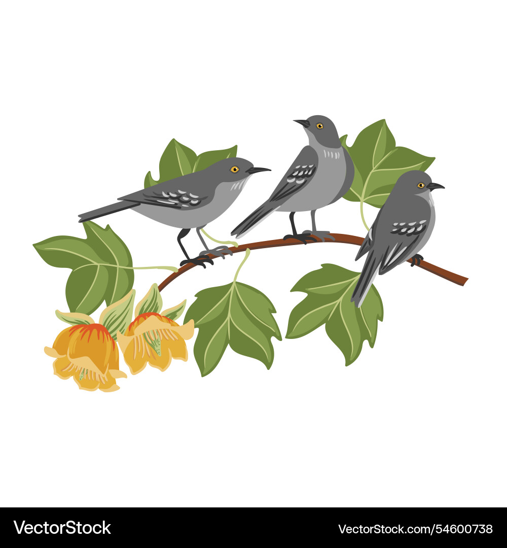 Drawing branch of tulip tree Drawing branch of tulip tree vector image
