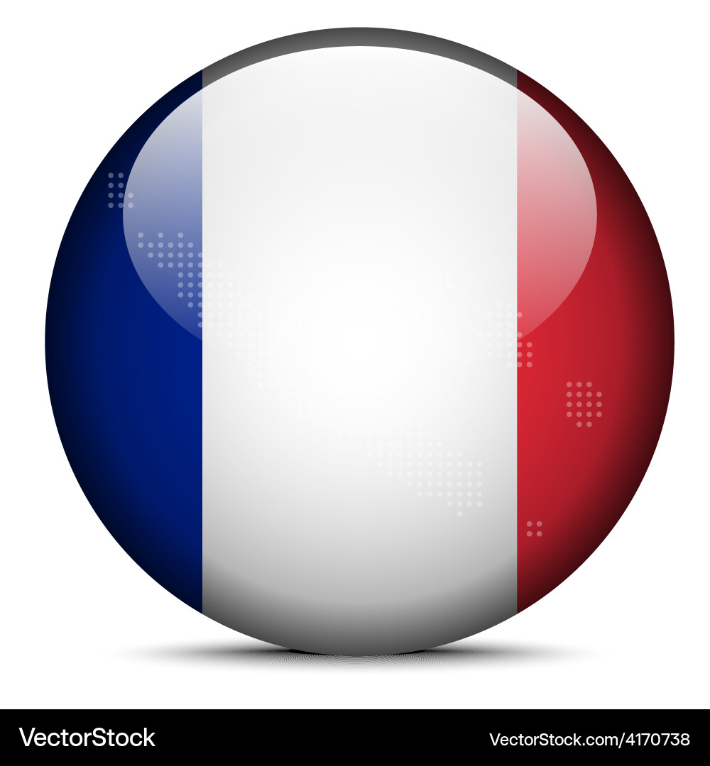 Map with dot pattern on flag button of new Vector Image